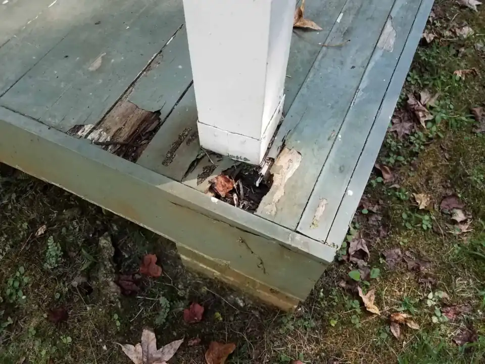 Deck Construction & Repair